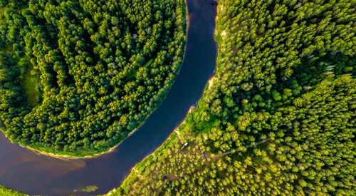 Environmental Protection